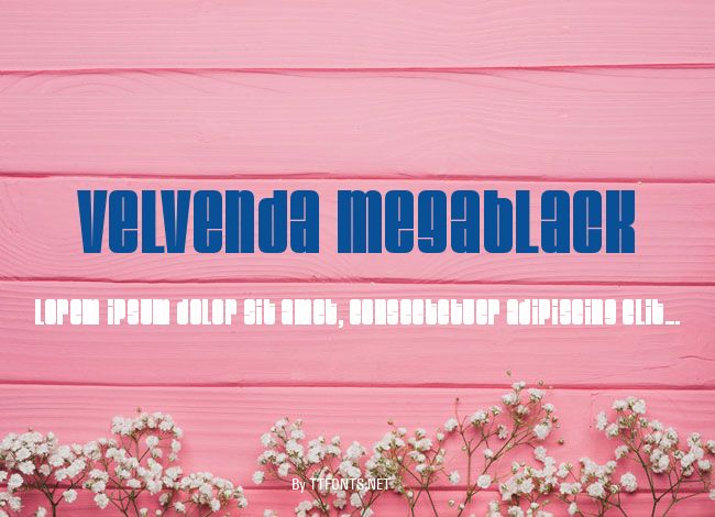 Velvenda Megablack example